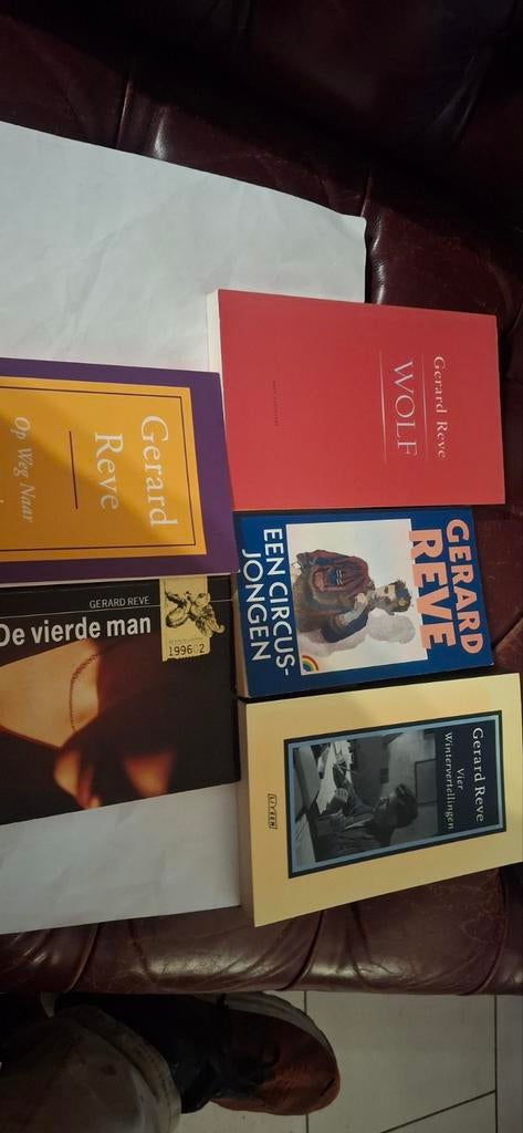 Gerard Reve Boeken Collectie - 5 Titels, Ophalen of Verzenden, Zo goed als nieuw, Gerard Reve, Nederland