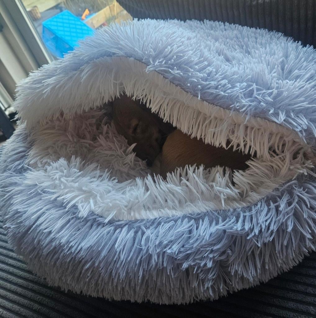 Heerlijk mandje om in te verstoppen, Dieren en Toebehoren, Hondenmanden, Ophalen of Verzenden