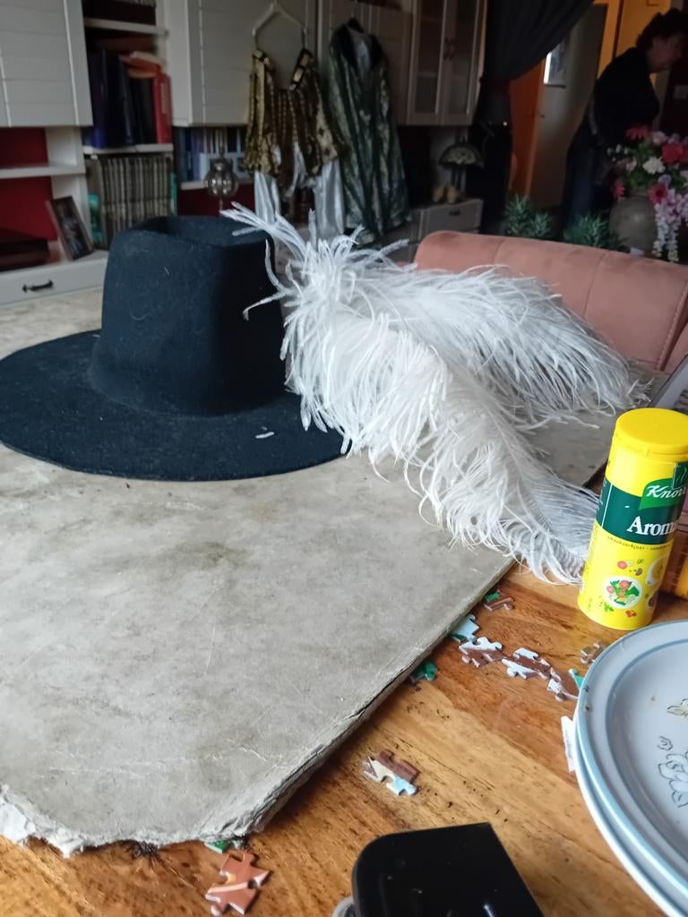 Carnavals kleding, Ophalen of Verzenden, Zo goed als nieuw, Carnaval