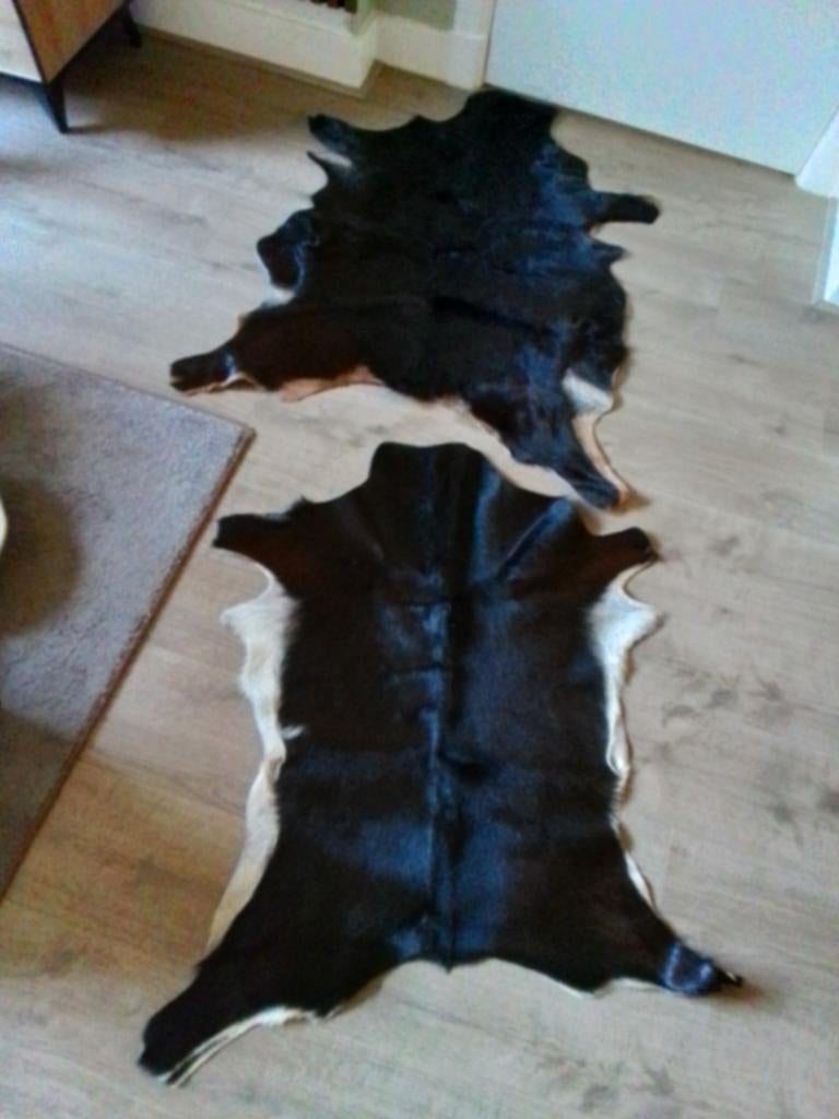 Schitterende Geitenvacht (Zwart/Wit) 80cm/100cm, 50 tot 100 cm, Nieuw, Zwart, 50 tot 100 cm