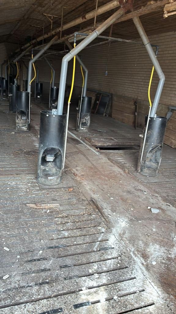 Brijbakken Groba, Dieren en Toebehoren