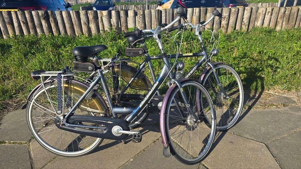 Zo goed als nieuwe gazelle furore, Ophalen, 53 tot 56 cm, Versnellingen, Zo goed als nieuw