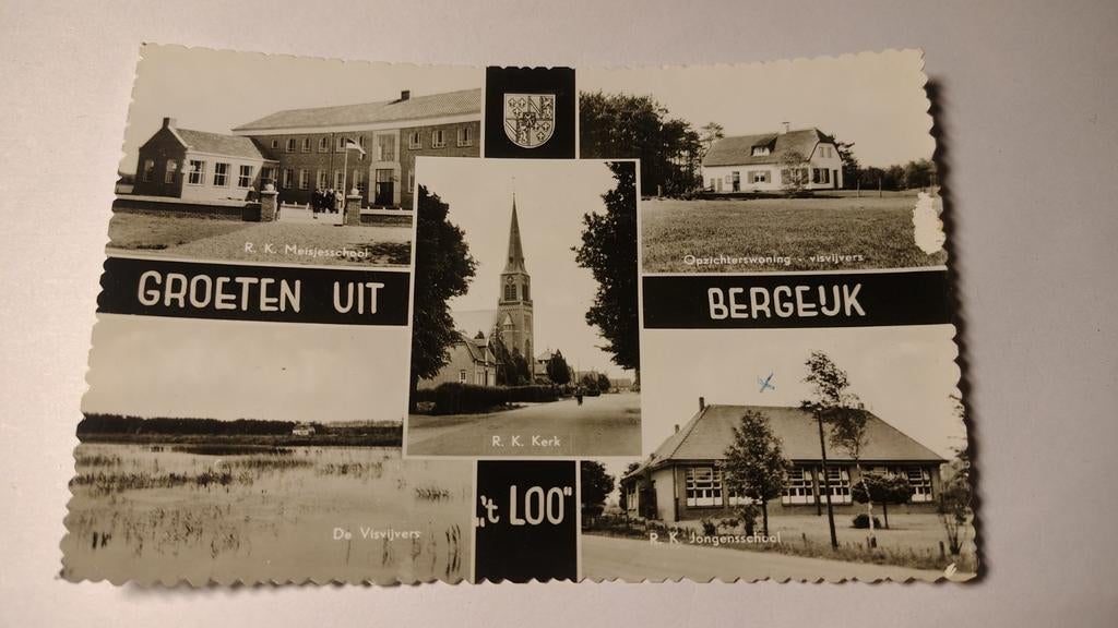 Bergeijk GROETEN UIT 't LOO, Verzamelen, Ophalen of Verzenden, 1980 tot heden