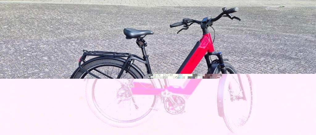 e bike Riese en Muller, Fietsen en Brommers, Elektrische fietsen, Zo goed als nieuw, Overige merken, 47 tot 51 cm, 50 km per accu of meer