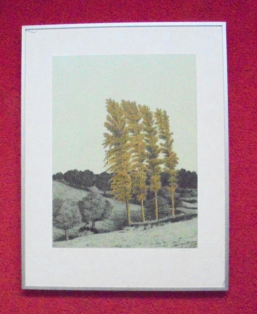 Sees Vlag.1934-2018.Geuldal., Ophalen