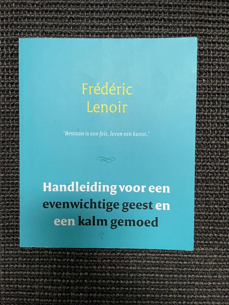 Bestaan is een kunst, leven is een feit  Frédéric Lenoir, Boeken, Ophalen of Verzenden, Zo goed als nieuw, Praktische filosofie
