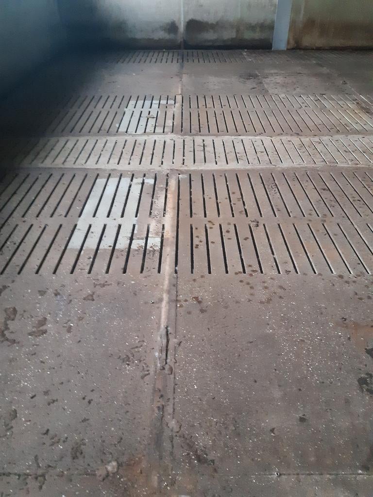 Varkensroosters gewapend