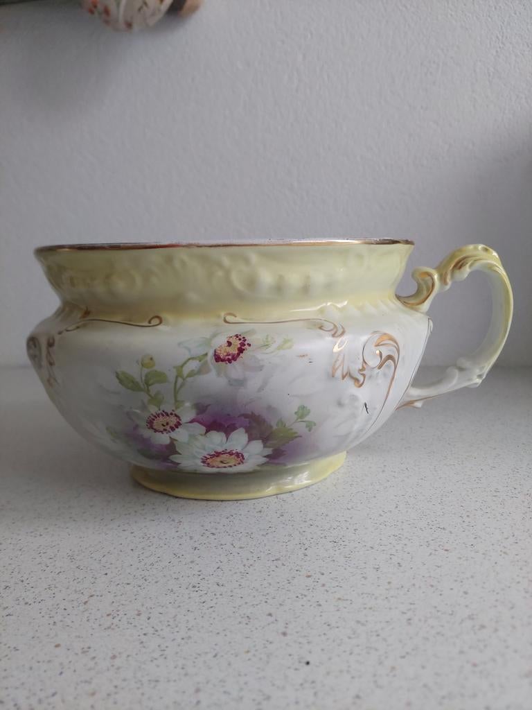 Antieke Engelse Pispot met Bloemmotief, Ophalen