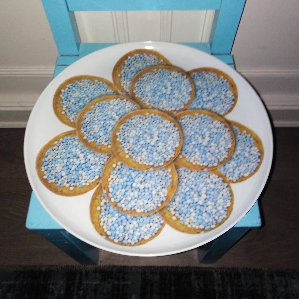 Beschuit blauw muisjes schaal - kunststof zie omschrijving, Kinderen en Baby's, Kraamcadeaus en Geboorteborden, Ophalen, Gebruikt