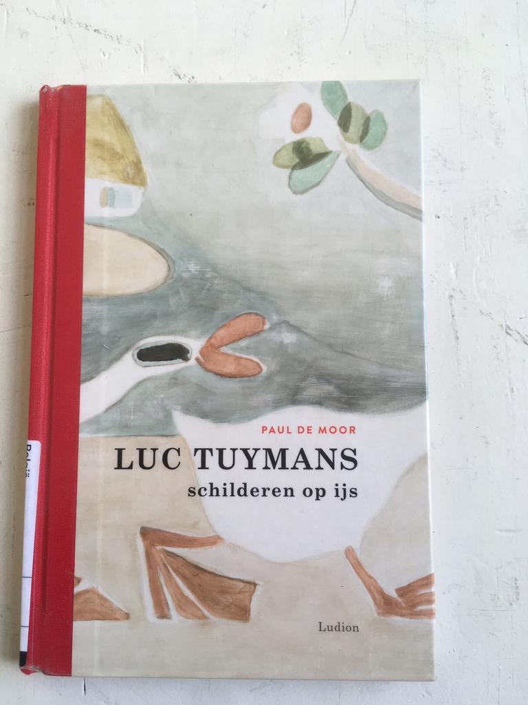 Luc Tuymans - schilderen op ijs, Ophalen of Verzenden, Zo goed als nieuw