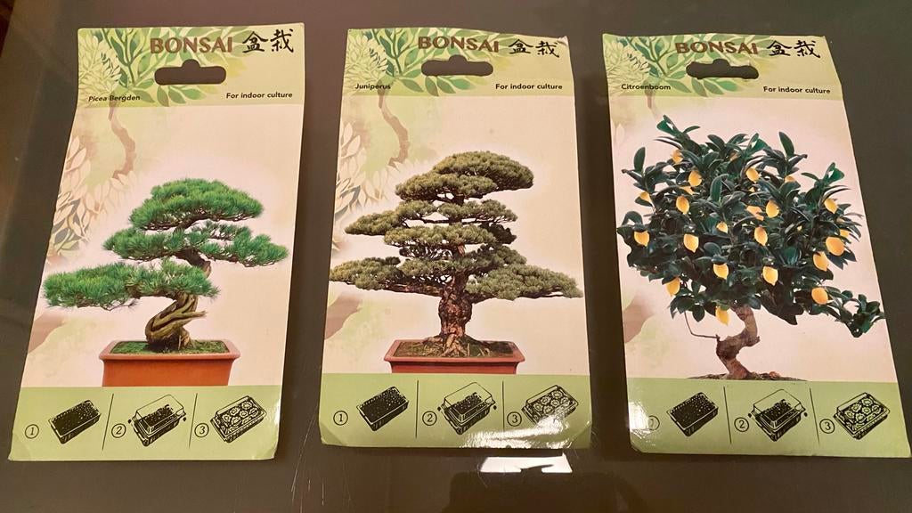 3x Bonsai Starterspakketten - Picea, Juniperus, Citroenboom, Ophalen of Verzenden, Gehele jaar, Volle zon, Zaad