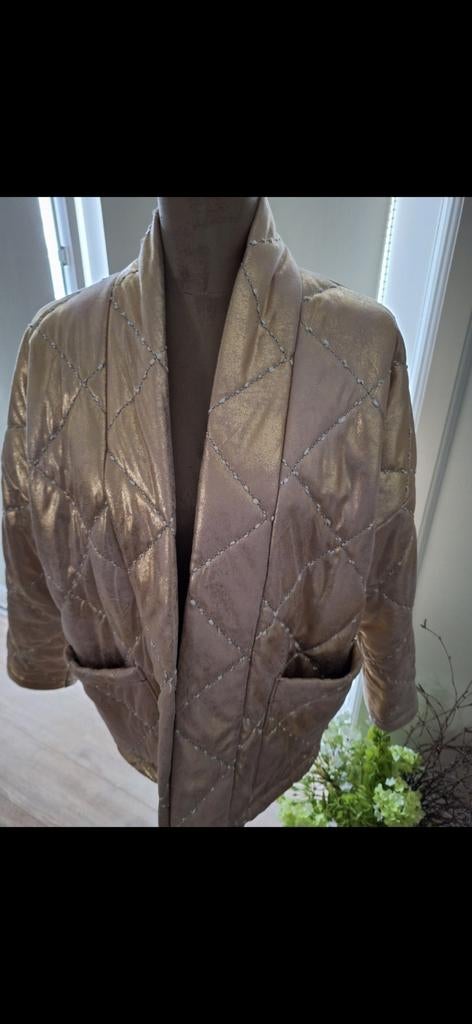 Mooi goudkleurig jasje maat L, Ophalen of Verzenden, Zo goed als nieuw, Maat 38/40 (M), Overige kleuren