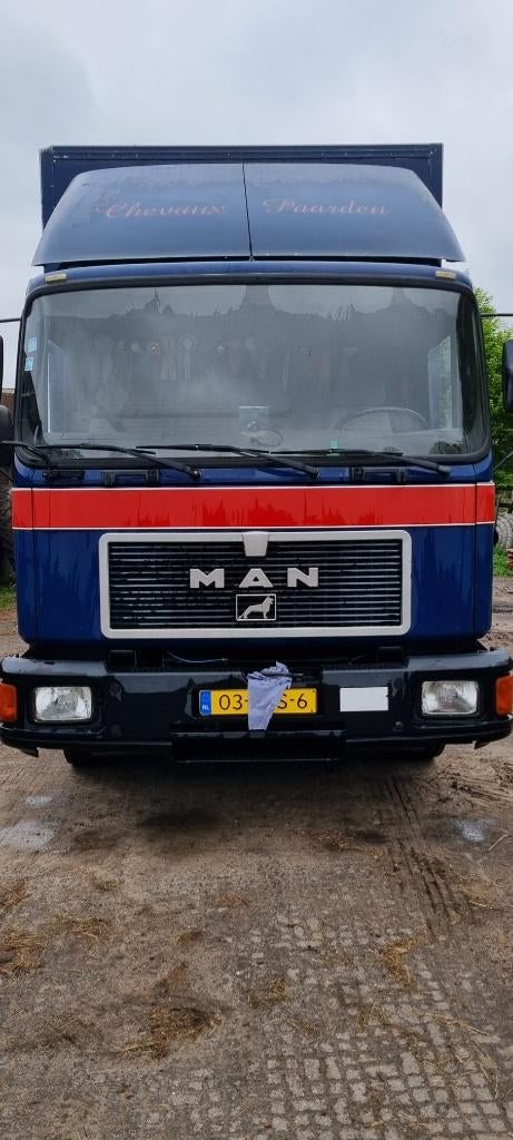 MAN Vrachtwagen voor Paarden, Blauw, MAN, Grijs, Particulier