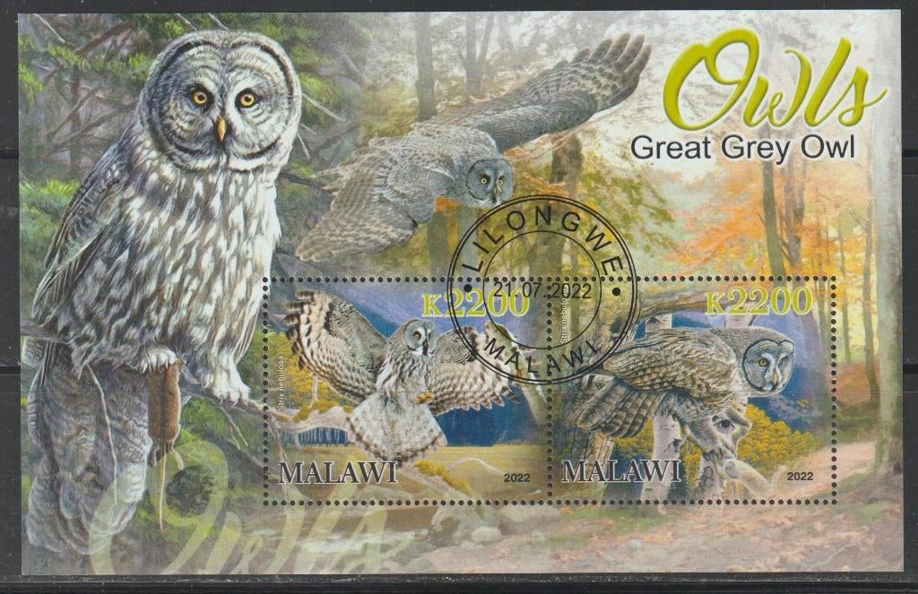 VOGELS = UILEN = Mooi bl. v MALAWI-GB-015, Verzenden, Gestempeld, Dier of Natuur