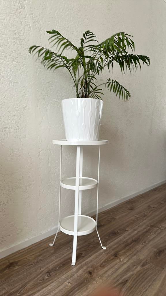 Planten rek, Tuin en Terras, Tuinwanddecoratie, Ophalen of Verzenden, Zo goed als nieuw