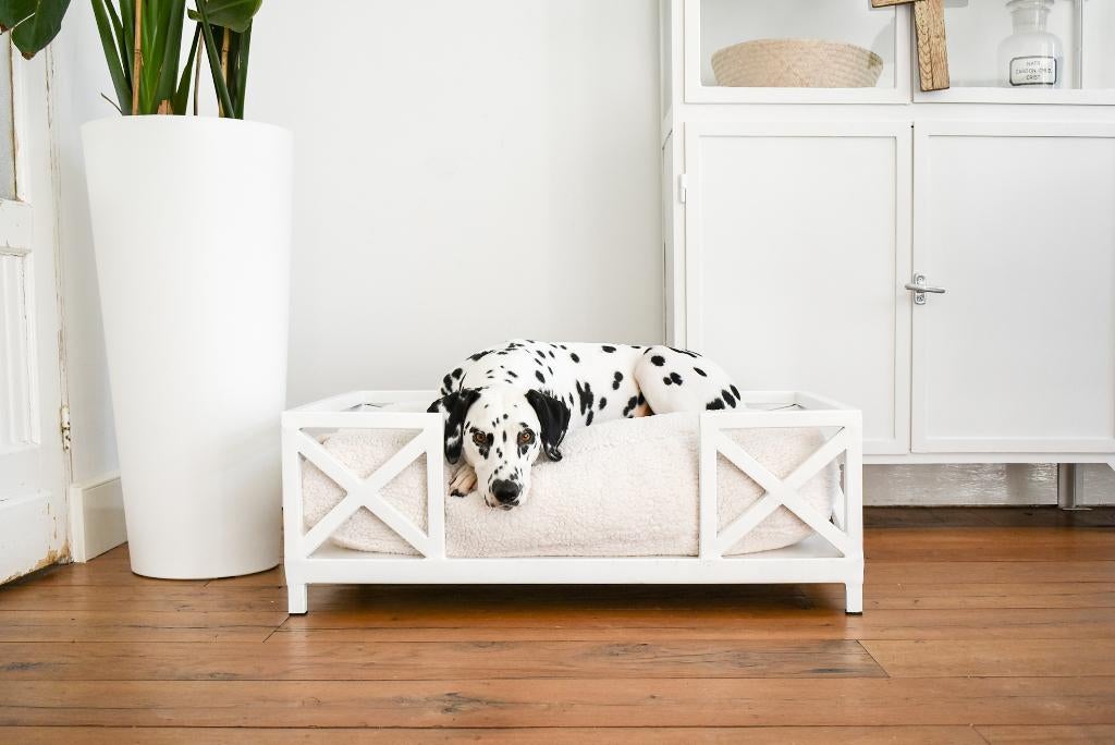 Nieuwe Orthopedische Hondenmand staal - handgemaakt, wasbaar, Ophalen, Nieuw, Overige