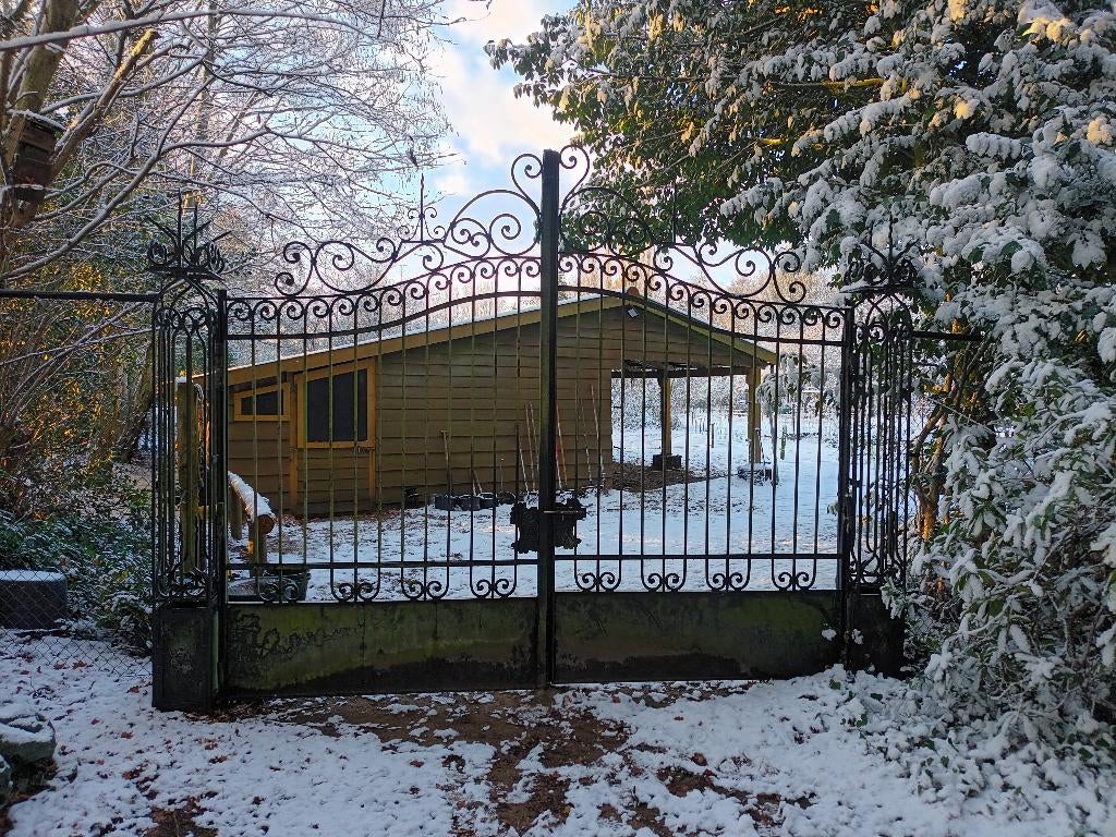 Stalling en weidegang, Dieren en Toebehoren, Weidegang, 2 of 3 paarden of pony's