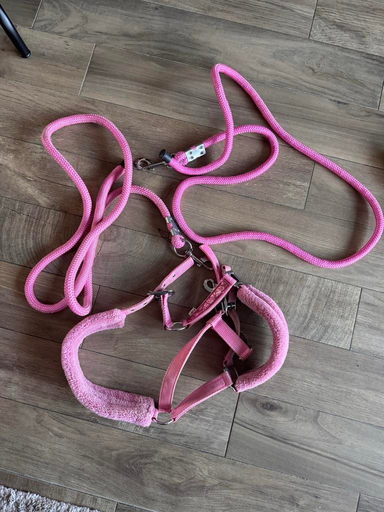 Halster met touwen, Dieren en Toebehoren, Paarden en Pony's | Overige Paardenspullen, Ophalen of Verzenden, Overige soorten
