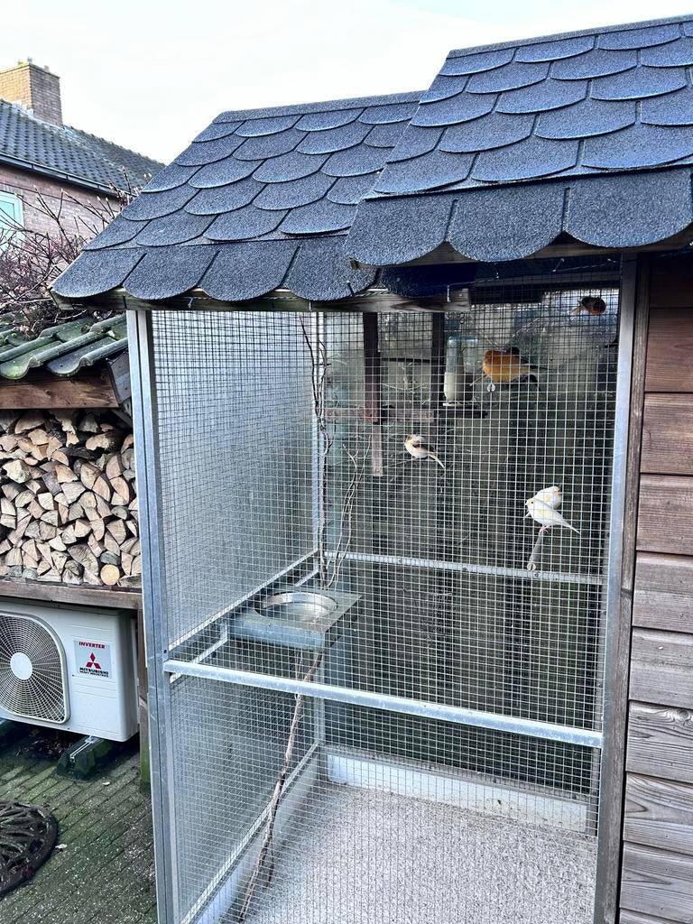 Voliere, Dieren en Toebehoren, Ophalen of Verzenden, Gebruikt, Metaal, Volière