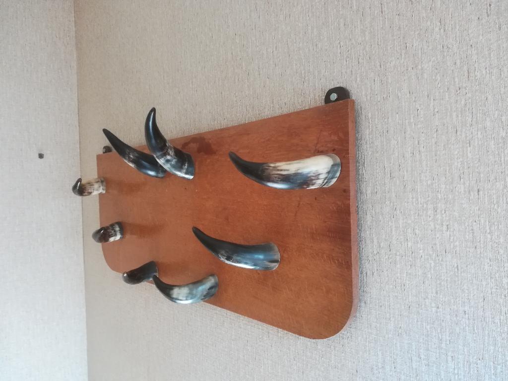 Kapstok, Gebruikt, Minder dan 100 cm, Hout, Ophalen