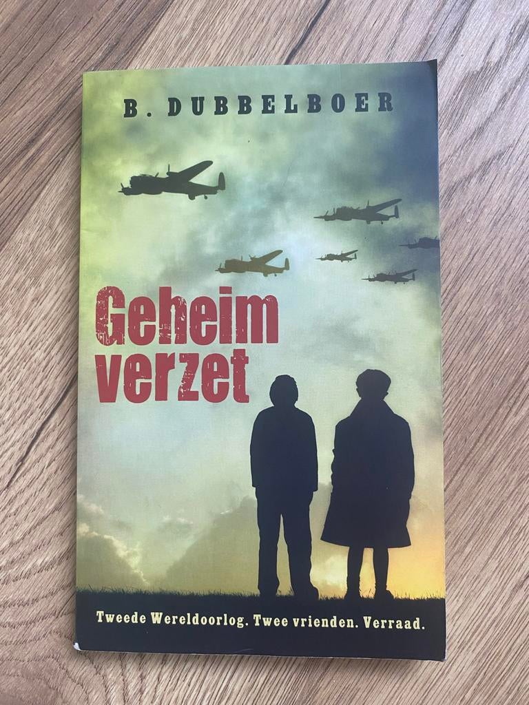 Geheim Verzet - B. Dubbelboer (Tweede Wereldoorlog), Ophalen of Verzenden, Tweede Wereldoorlog, Gelezen, Algemeen