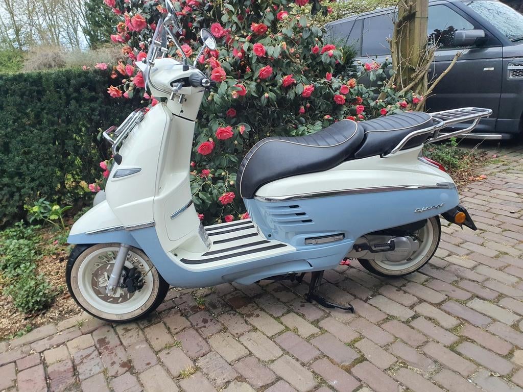 Peugeot django  snorscooter, Fietsen en Brommers, Scooters | Peugeot, Ophalen, Gebruikt, Benzine