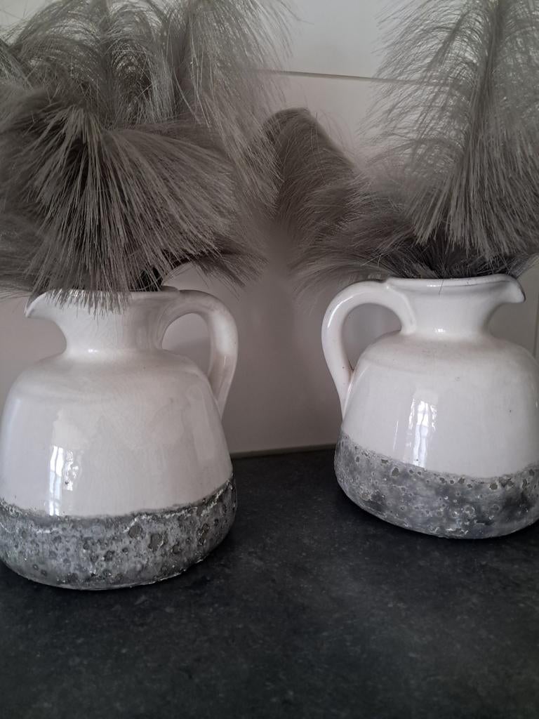 Decoratie kannen met sier pampas, Ophalen of Verzenden