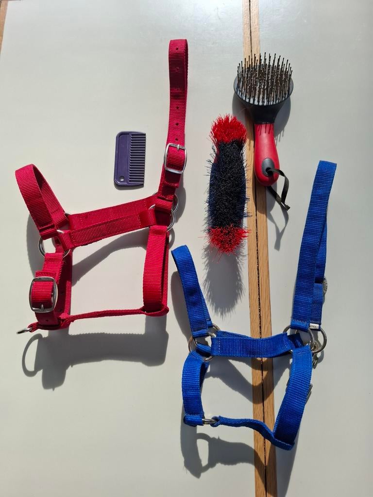 Mooie (starter) pony set | halster | paardenspullen, Ophalen of Verzenden, Overige soorten