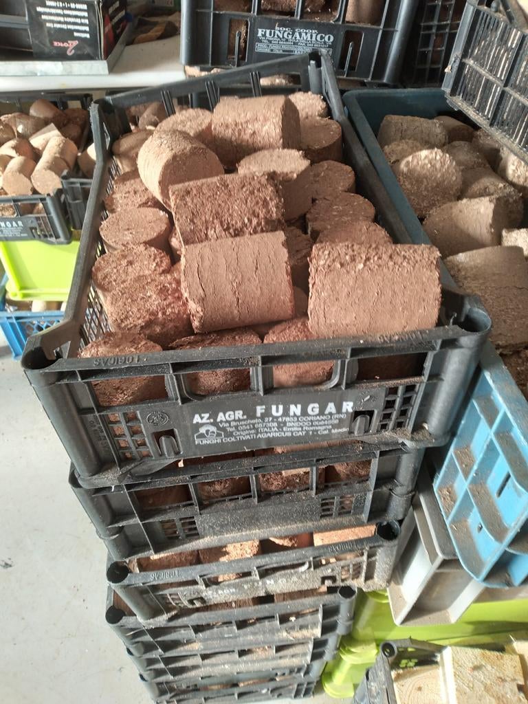 Briketten, Ophalen of Verzenden