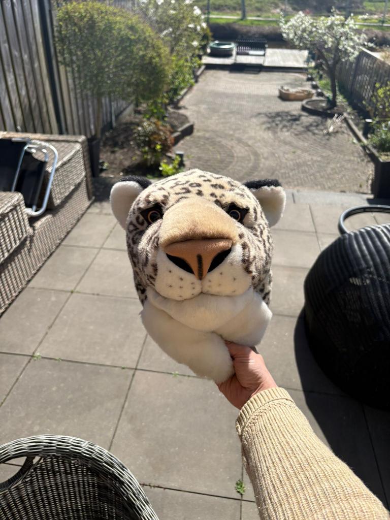 Luipaard knuffelkop, Gebruikt, Overige typen, Ophalen of Verzenden, Middelgroot (20 tot 80 cm)