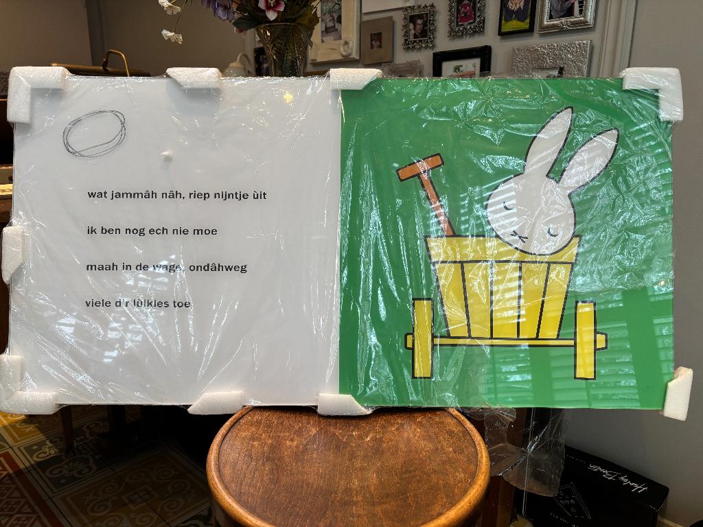 Nijntje bord | Perspex | Nieuw, Verzamelen, Poppetjes en Figuurtjes, Ophalen of Verzenden, Nieuw