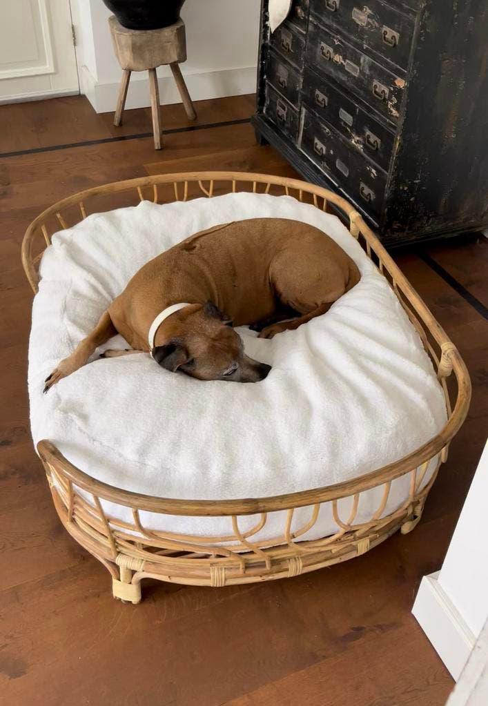 NIEUW XL Orthopedische Hondenmand - handgemaakt, wasbaar, Ophalen, Nieuw, Riet