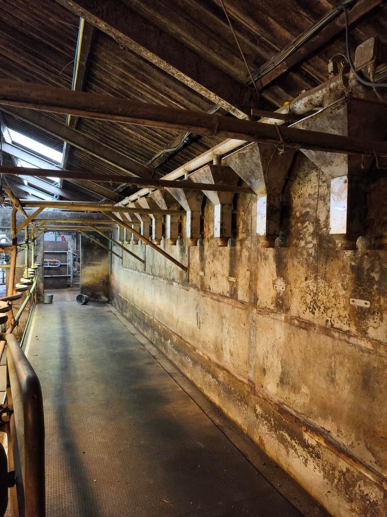 Acb picolo 20x, Dieren en Toebehoren, Stalling en Weidegang