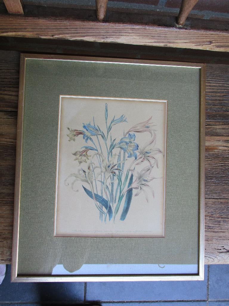 Lithografie van Loudon, Antiek en Kunst, Kunst | Schilderijen | Klassiek, Verzenden