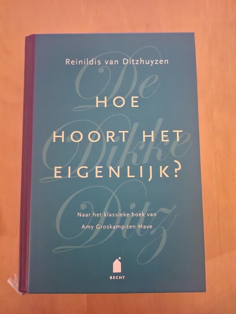 Hoe Hoort Het Eigenlijk? - Reinildis van Ditzhuyzen, Ophalen of Verzenden, Zo goed als nieuw, Reinildis van Ditzhuyzen