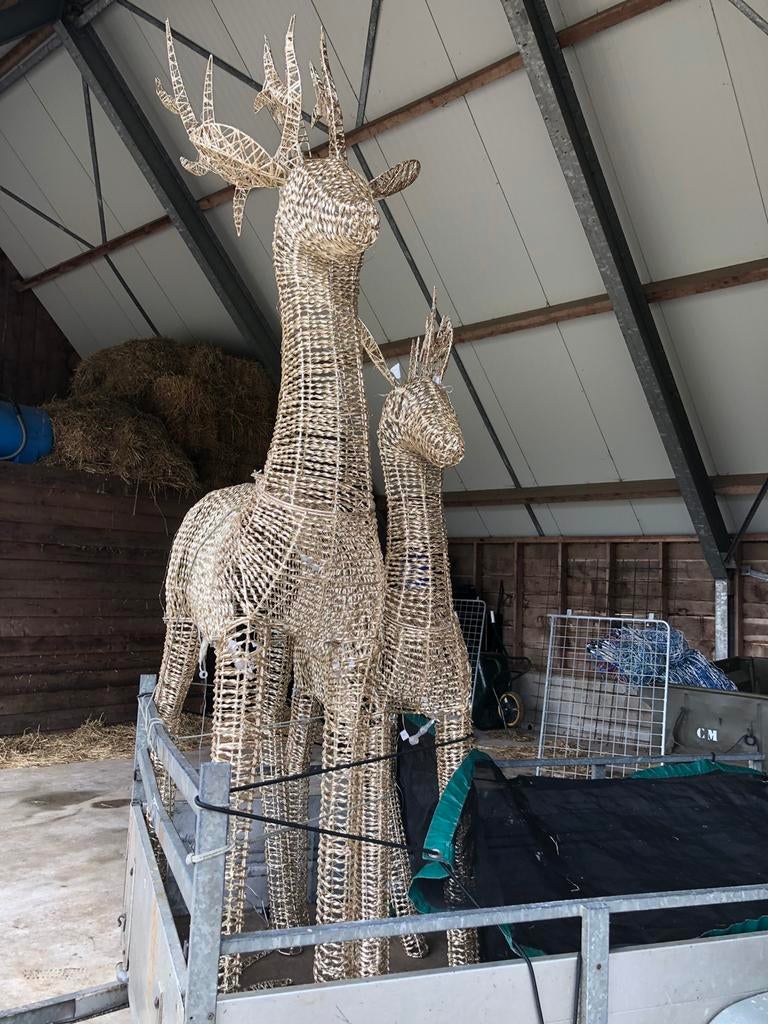 Twee verlichte herten, Ophalen of Verzenden