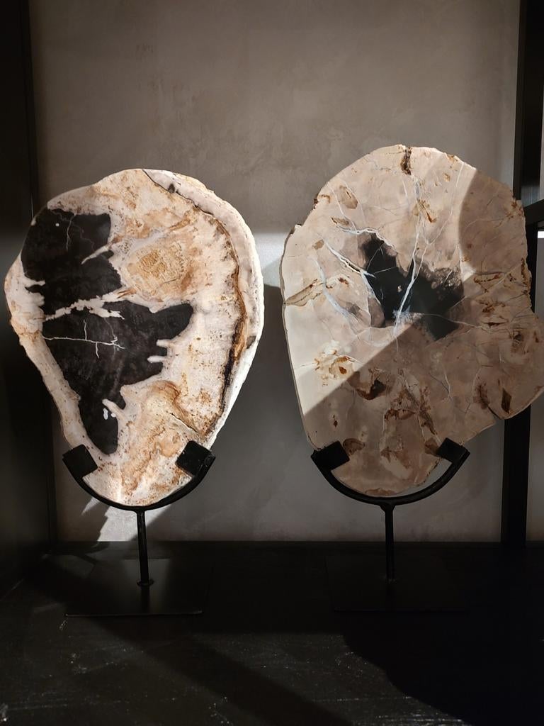 Versteend Hout - 2 stuks, Ophalen of Verzenden, Fossiel