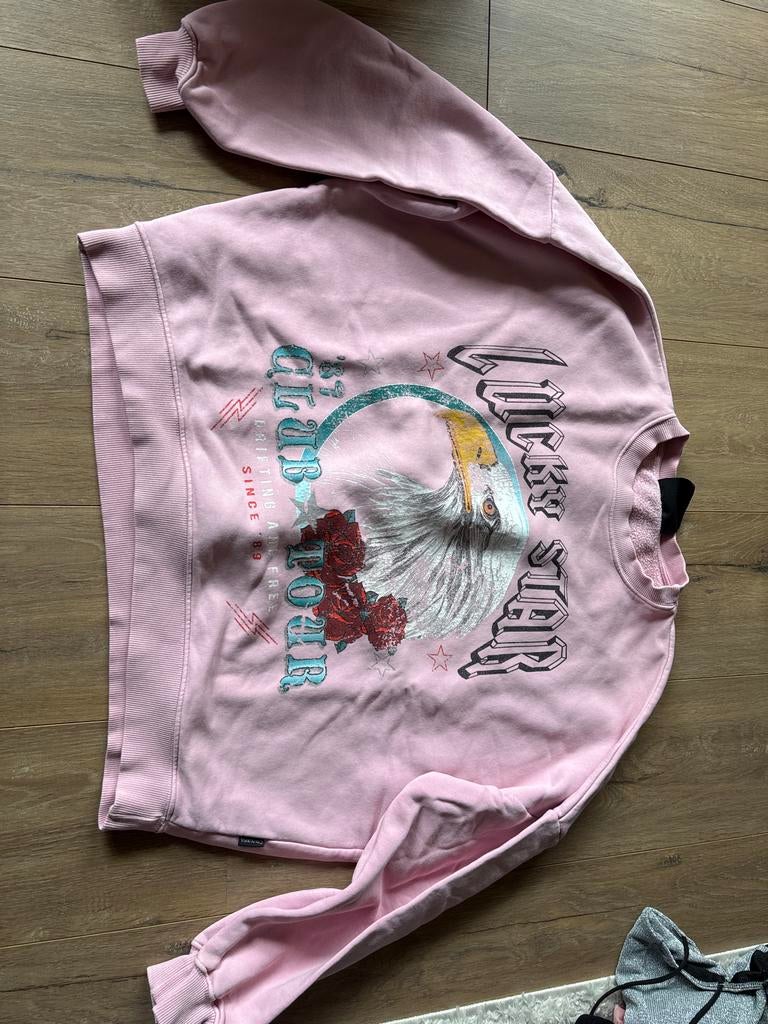 Colourful Rebel Trui - Maat S, Ophalen of Verzenden, Zo goed als nieuw, Maat 36 (S), Roze