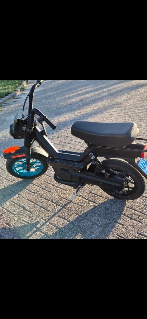 Te koop dikke citta, Ophalen of Verzenden, Gebruikt