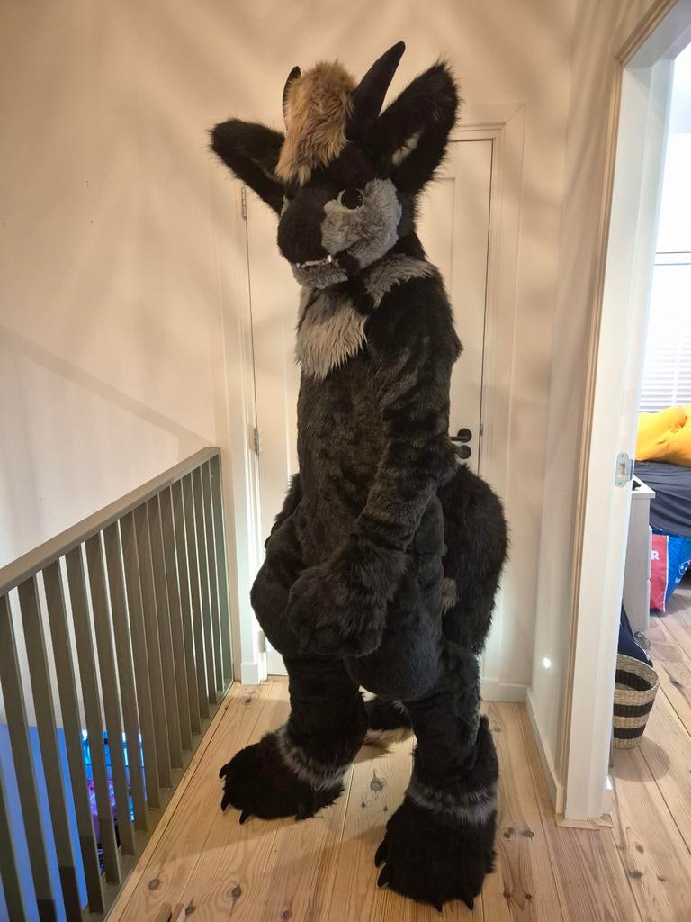 Furred Dragon Fursuit + Extra armsleeves and tail, Kleding | Heren, Carnavalskleding en Feestkleding, Zo goed als nieuw, Kleding
