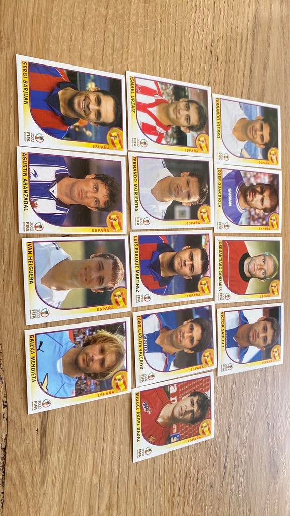 Panini wk 2002 spanje, Ophalen of Verzenden, Zo goed als nieuw, Buitenlandse clubs, Poster, Plaatje of Sticker