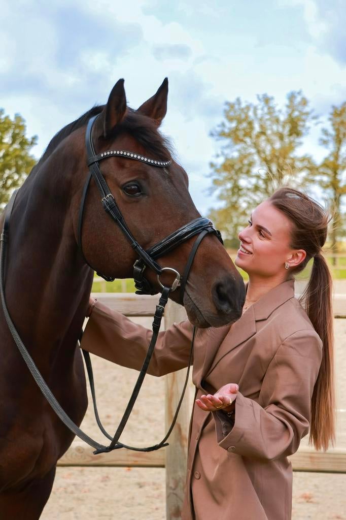 Weide maatje / recreatie ruin / grondwerk, Met stamboom, Ruin, Niet van toepassing, 160 tot 165 cm
