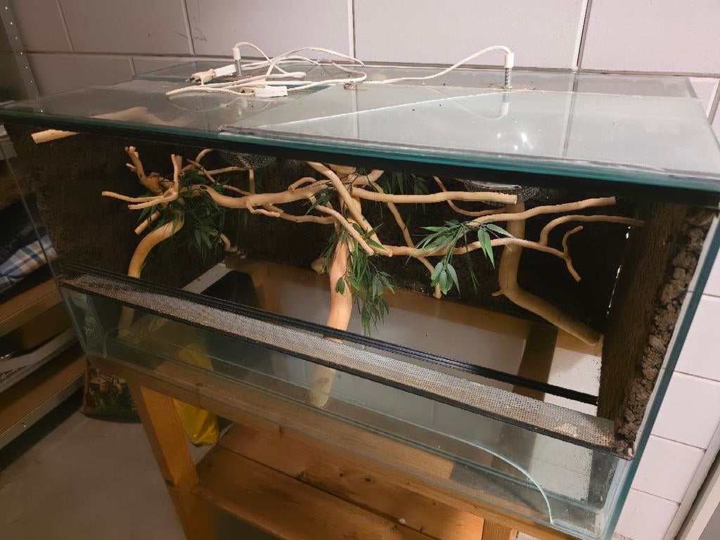 Terrarium, Dieren en Toebehoren, Reptielen en Amfibieën | Toebehoren, Ophalen