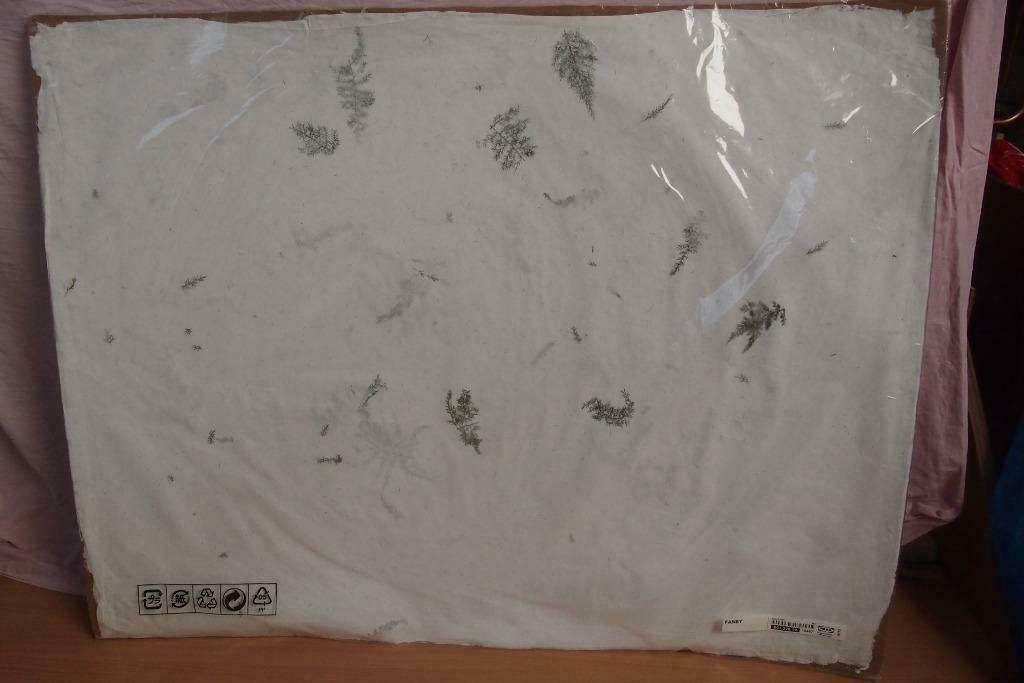 IKEA Fanby leuke vellen van rijstpapier met blaadjes - nieuw, Ophalen, 50 tot 75 cm, Nieuw, Schilderij