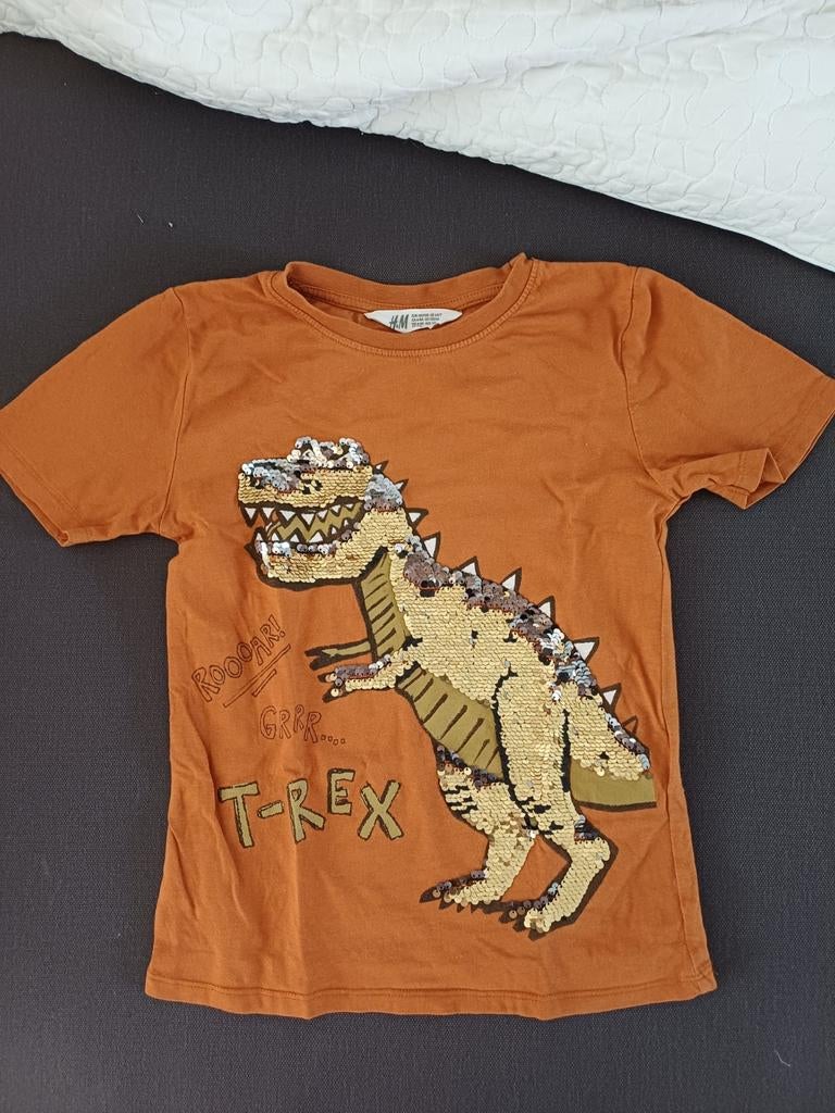 De "Superhelden & Gaming" Collectie (12 items), Ophalen, Jongen, Shirt of Longsleeve