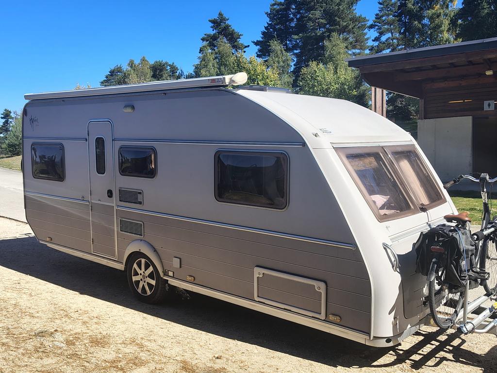 Prachtige Kip Hyline 53TDB, Rondzit, Kip, Frans bed, Particulier