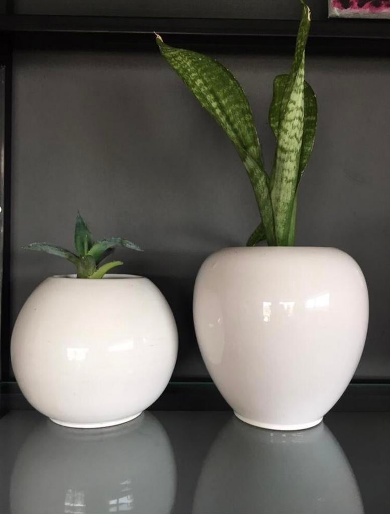 Unieke Hollandse vintage design bloempotten vazen bioplanten, Wit, Aardewerk of Porselein, Ophalen of Verzenden, Zo goed als nieuw