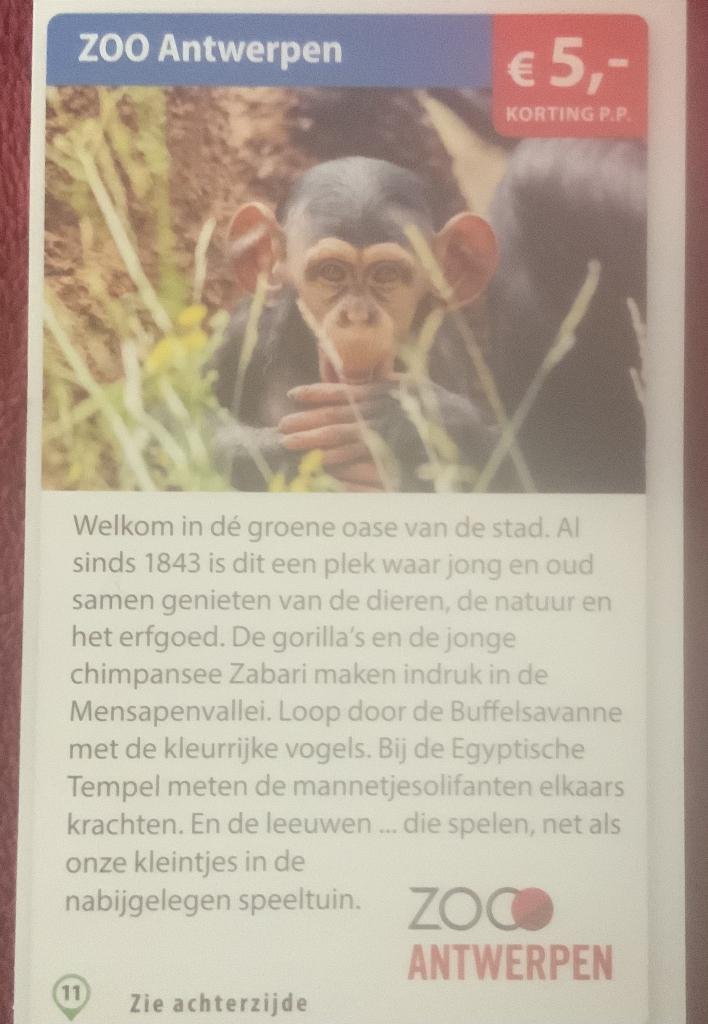Zoo Antwerpen Dierentuin Voordeelbon, Drie personen of meer, Dierentuinbon