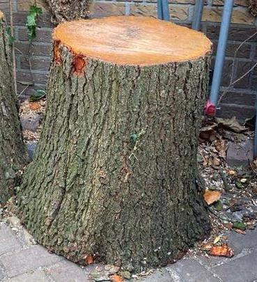 hakblok elzenhout, Tuin en Terras, Minder dan 3 m³, Ophalen