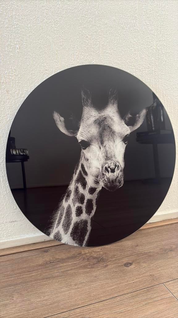 Giraf wandbord rond, Huis en Inrichting, Woonaccessoires | Wanddecoraties, Ophalen of Verzenden, Zo goed als nieuw